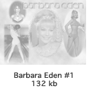 Barbara Eden #1
